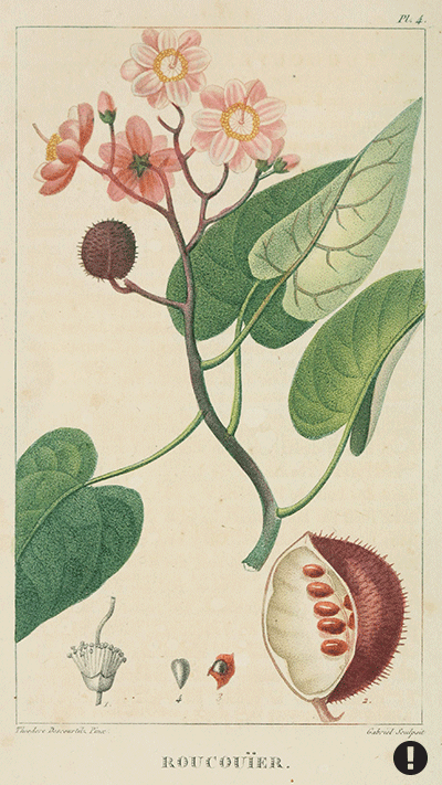 Flore pittoresque et médicale des Antilles, vol. 1 Gabriel, Georges François Marie, Gabriel, Louis